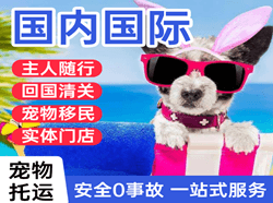 通辽空运地址国际宠物托运 【国
